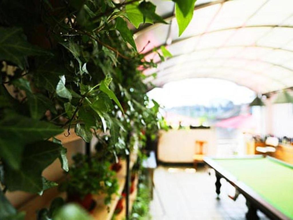Nanjing Sunflower International Youth Hostel Екстер'єр фото